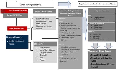 Estimating the economic impact of COVID-19 disruption on access to sexual and reproductive health and rights in Eastern and Southern Africa